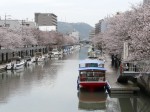 高知市の堀川_20100405
