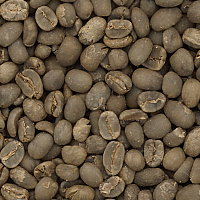 インドネシア・トゥナス・インダ農協生豆