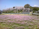 奈半利町・多気ケ丘公園_20080408