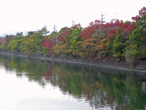 2009年11月9日高知市丸池町より江ノ口川対岸を望む