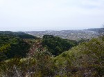平山林道から奈半利平野を見下ろす