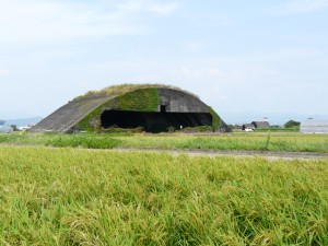 掩体壕(高知県南国市・現存する中で最大のもの)