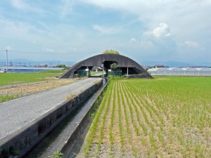 掩体壕(高知県南国市・大湊小学校近くのもの)