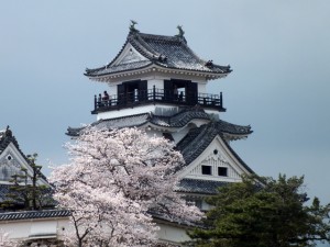 高知城天守閣と桜20120412